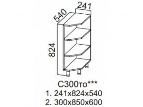 С300то Стол-рабочий 300 (торцевой открытый) в Асбесте - asbest.магазин96.com | фото