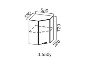 Ш550у/720 Шкаф навесной 550/720 (угловой) в Асбесте - asbest.магазин96.com | фото