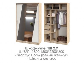 шкаф-купе ПШ-2.9 1500 Норд Белый жемчуг 1500 в Асбесте - asbest.магазин96.com | фото