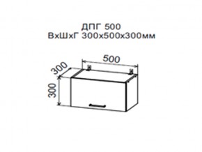 Шкаф верхний ДПГ500 горизонтальный в Асбесте - asbest.магазин96.com | фото