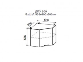 Шкаф верхний ДПУ600 угловой в Асбесте - asbest.магазин96.com | фото